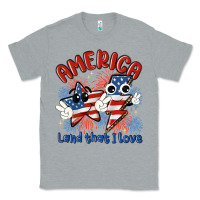 Heather Grey america land that i love Classic Tee - MaliasSmallBusiness