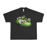 Pigment Black blossfeldia cactus Urban Heavy Tee - LillyAllenDesigns