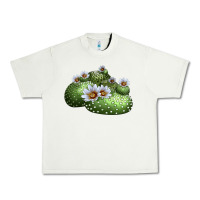 Pistachio blossfeldia cactus Urban Heavy Tee - LillyAllenDesigns