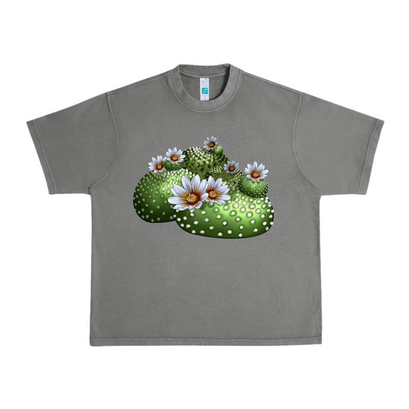 Blossfeldia Cactus Urban Heavy Tee by LillyAllenDesigns | Teevron