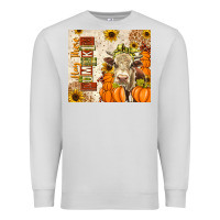 Dove Grey Fall Hay There Pumpkin Premium Sweatshirt - texasbilliewilder
