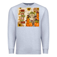 Heather Grey Fall Hay There Pumpkin Premium Sweatshirt - texasbilliewilder