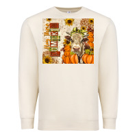 Sandshell Fall Hay There Pumpkin Premium Sweatshirt - texasbilliewilder