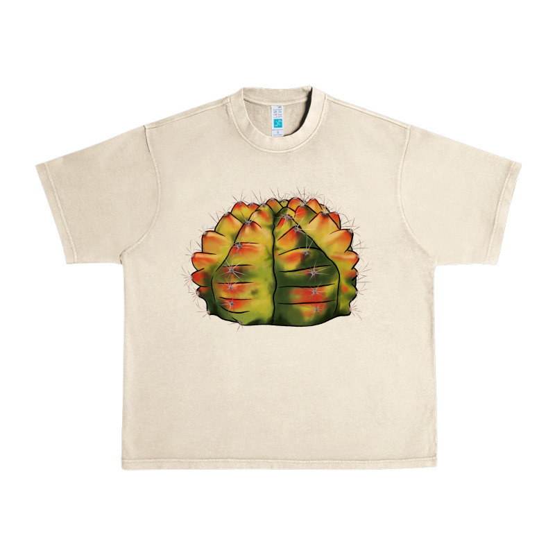 Gymnocalycium Variegated Cactus Urban Heavy Tee by LillyAllenDesigns | Teevron