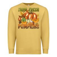Antique Gold Farm Fresh Pumpkins Premium Sweatshirt - texasbilliewilder