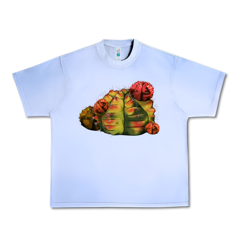Gymnocalycium Variegated Cactus Urban Heavy Tee by LillyAllenDesigns | Teevron