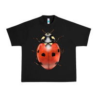 Black lady bug Urban Heavy Tee - LillyAllenDesigns