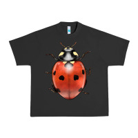 Pigment Black lady bug Urban Heavy Tee - LillyAllenDesigns