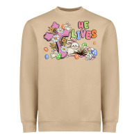 Mushroom he lives with bunnys and eggs Heavyweight Sweatshirt - MaliasSmallBusiness