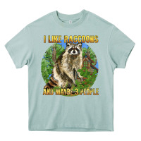 Arona i like raccoons and 3 people Heavy Core Tee - BarkalooDesign