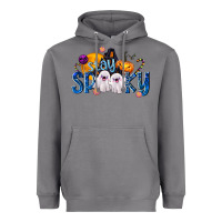 Storm Stay Spooky Heavyweight Hoodie - texasbilliewilder