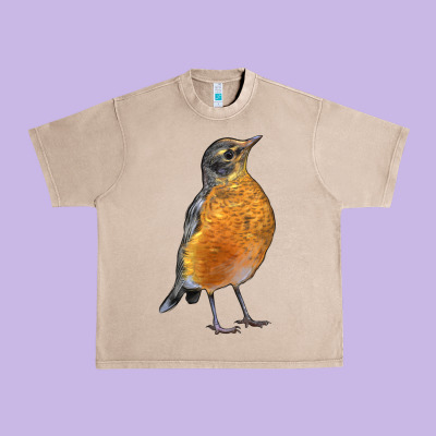 American Robin Bird Urban Heavy Tee Designed By Lillyallendesigns
