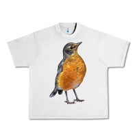 Lunar Rock American Robin Bird Urban Heavy Tee - LillyAllenDesigns