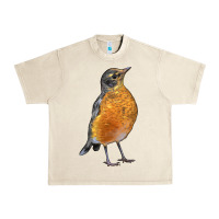 Sandshell American Robin Bird Urban Heavy Tee - LillyAllenDesigns