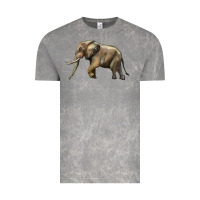 Cloud Rock Elephant Vintage Tee - LillyAllenDesigns