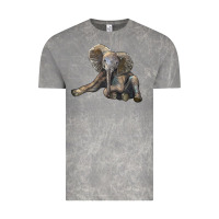 Cloud Rock Baby Elephant Vintage Tee - LillyAllenDesigns