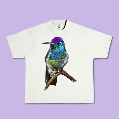 Rivoli`s Hummingbird Urban Heavy Tee Designed By Lillyallendesigns