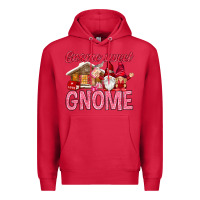 Cardinal Gnome sweet gnome Valentine's Day Premium Hoodie - HowdyJamesFarm