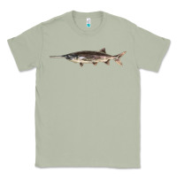 Matcha Paddlefish Illustrations, Classic Tee - LillyAllenDesigns