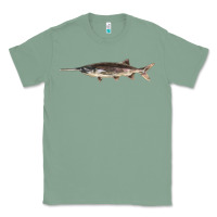 Sage Paddlefish Illustrations, Classic Tee - LillyAllenDesigns