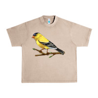 French Oak American Goldfinch Urban Heavy Tee - LillyAllenDesigns