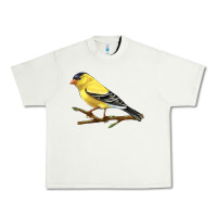 Pistachio American Goldfinch Urban Heavy Tee - LillyAllenDesigns