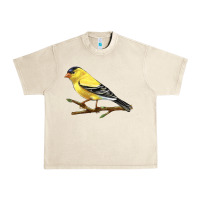 Sandshell American Goldfinch Urban Heavy Tee - LillyAllenDesigns
