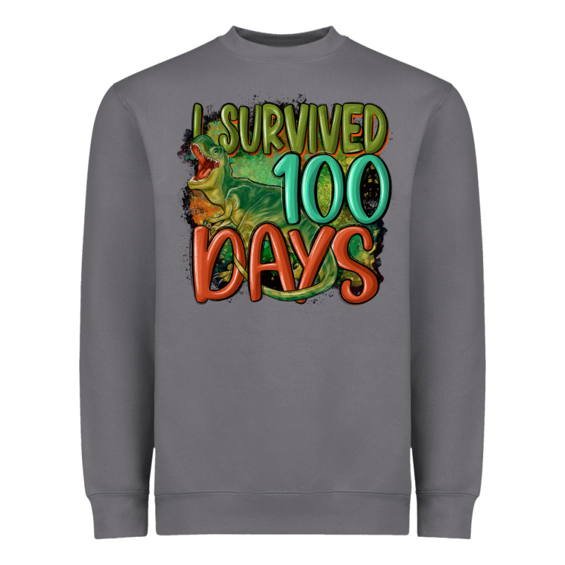I Survived 100 Days Heavyweight Sweatshirt by MaliasSmallBusiness | Teevron