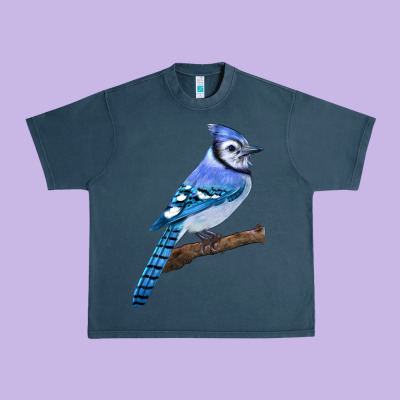 Blue Jay Bird Urban Heavy Tee Designed By Lillyallendesigns