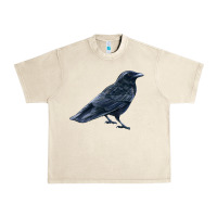 Sandshell American Crow Urban Heavy Tee - LillyAllenDesigns