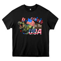 Rawrrr In The Usa 4th Of July Heavy Core Tee | Teevron