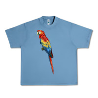 Pebble Blue Scarlet Macaw Parrot Urban Heavy Tee - LillyAllenDesigns