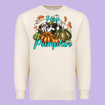 Hey Pumpkin Premium Sweatshirt Designed By Texasbilliewilder