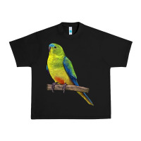 Black Neophema Parrot Urban Heavy Tee - LillyAllenDesigns