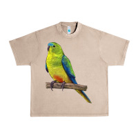 French Oak Neophema Parrot Urban Heavy Tee - LillyAllenDesigns