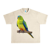 Sandshell Neophema Parrot Urban Heavy Tee - LillyAllenDesigns
