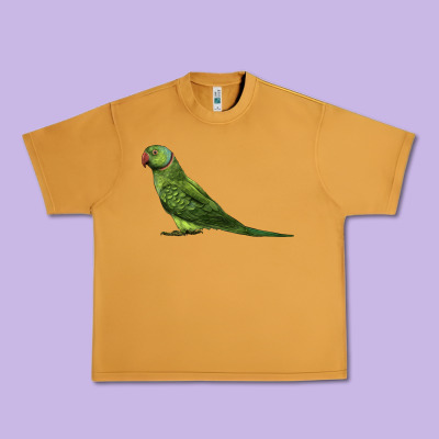 Ring Necked Parakeet Urban Heavy Tee Designed By Lillyallendesigns