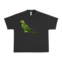 Pigment Black Ring Necked Parakeet Urban Heavy Tee - LillyAllenDesigns