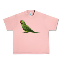 Salmon Ring Necked Parakeet Urban Heavy Tee - LillyAllenDesigns
