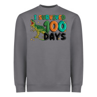 Storm i survived 100 days Heavyweight Sweatshirt - MaliasSmallBusiness