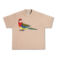 Burro Rosella Bird Urban Heavy Tee - LillyAllenDesigns