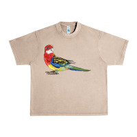 French Oak Rosella Bird Urban Heavy Tee - LillyAllenDesigns