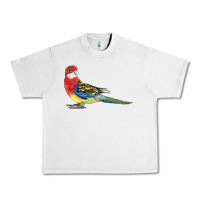 Lunar Rock Rosella Bird Urban Heavy Tee - LillyAllenDesigns