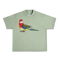 Oil Green Rosella Bird Urban Heavy Tee - LillyAllenDesigns