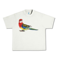Pistachio Rosella Bird Urban Heavy Tee - LillyAllenDesigns