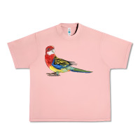 Salmon Rosella Bird Urban Heavy Tee - LillyAllenDesigns