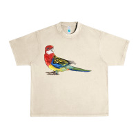 Sandshell Rosella Bird Urban Heavy Tee - LillyAllenDesigns