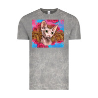 Cloud Rock Western Sphynx Cat Vintage Tee - LillyAllenDesigns