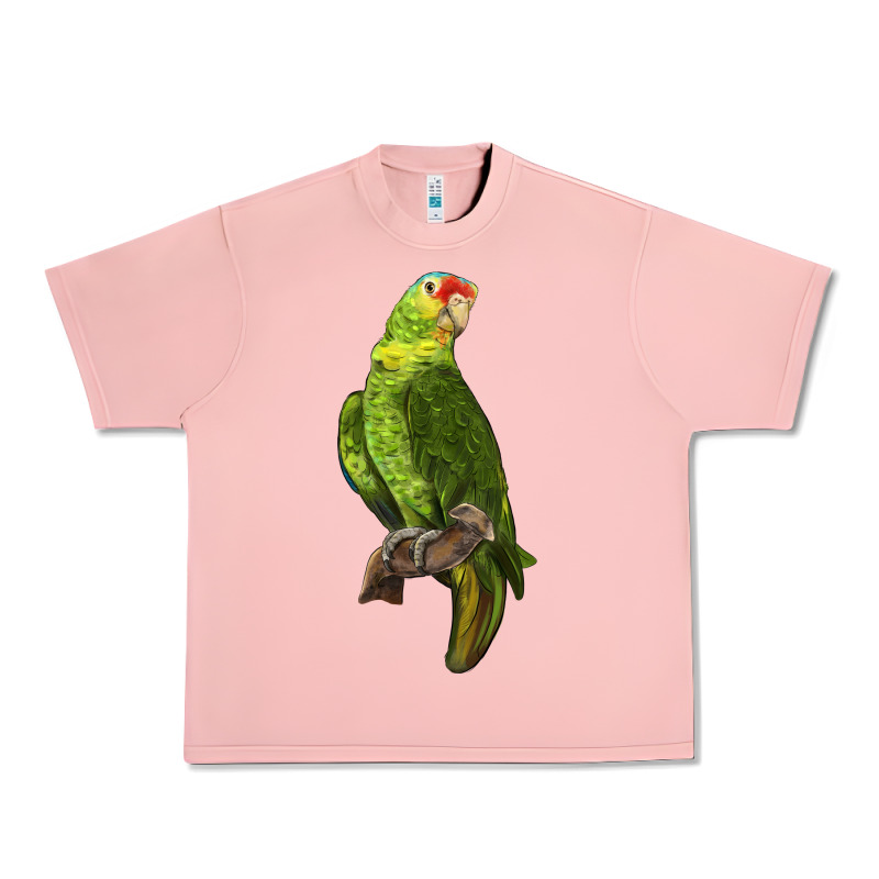 New Zealand Paraket Parrot Urban Heavy Tee by LillyAllenDesigns | Teevron