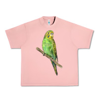 Salmon Budgeriar Bird Parrot Urban Heavy Tee - LillyAllenDesigns